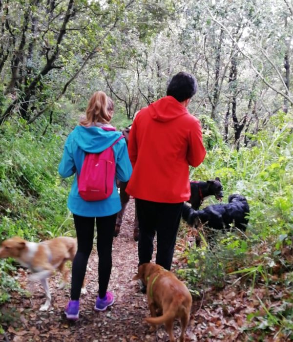 28b41506-1ca7-436d-8258-42ebea4368d2