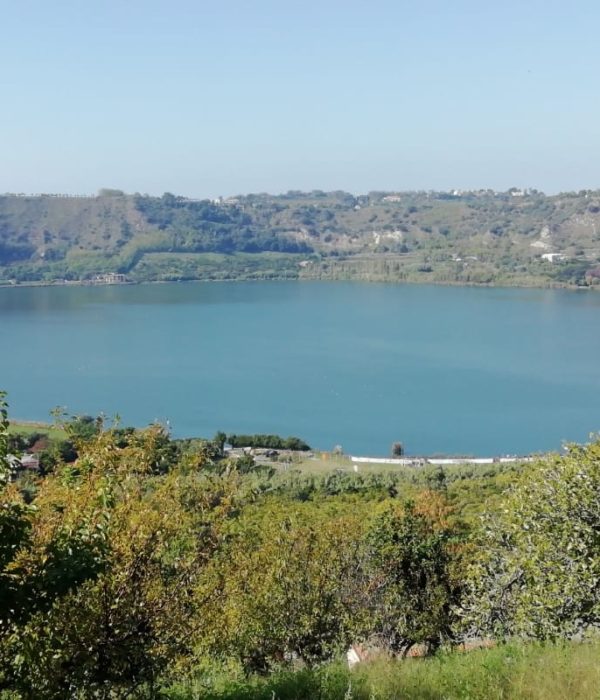 f99087a4-3f27-4b3c-a59b-18ee9f632439